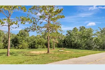 4541 County Road 561, Clermont, FL 34714 - Photo 4