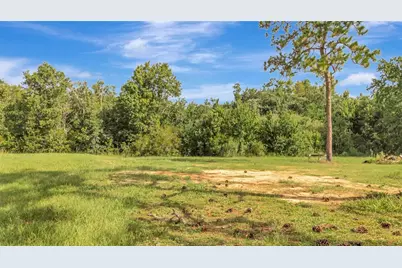 4541 County Road 561, Clermont, FL 34714 - Photo 4