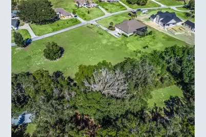 Se 156th Lane, Weirsdale, FL 32195 - Photo 4