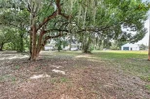 316 N Highland St, Mount Dora, FL 32757 - Photo 8