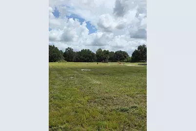 11470 Cr 727, Webster, FL 33597 - Photo 4