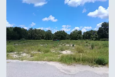 11470 Cr 727, Webster, FL 33597 - Photo 16