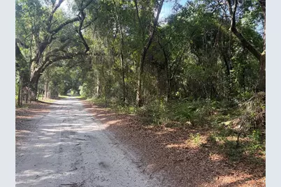 0000 Cr 738, Webster, FL 33597 - Photo 1