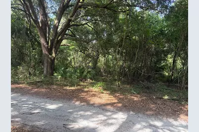 0000 Cr 738, Webster, FL 33597 - Photo 2