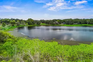 511 E Mirror Lake Dr, Fruitland Park, FL 34731 - Photo 92