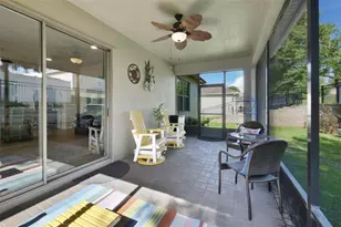 21315 Sorraia Cv, Mount Dora, FL 32757 - Photo 28