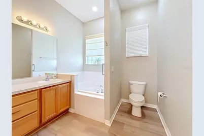 25206 Ormond Court, Leesburg, FL 34748 - Photo 24