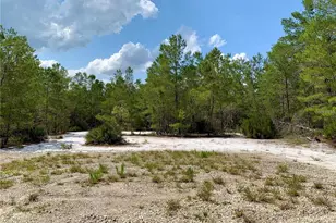 30280 W Bluebell Ave, Eustis, FL 32736 - Photo 54