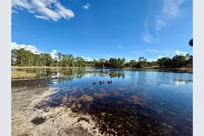 30280 W Bluebell Avenue, Eustis, FL 32736 - Photo 52