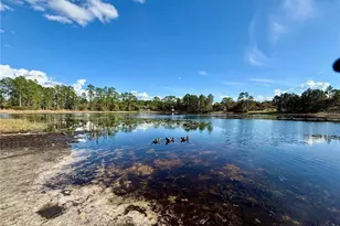 30280 W Bluebell Ave, Eustis, FL 32736 - Photo 52