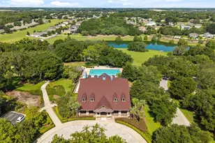 30119 Tokara Terrace, Mount Dora, FL 32757 - Photo 50