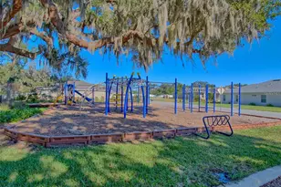 10212 Julia Isles Ave, Oxford, FL 34484 - Photo 56