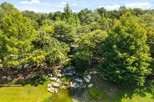 30113 Jutland Ct, Mount Dora, FL 32757 - Photo 68