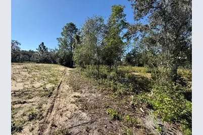 6123 Oil Well Road, Clermont, FL 34714 - Photo 4