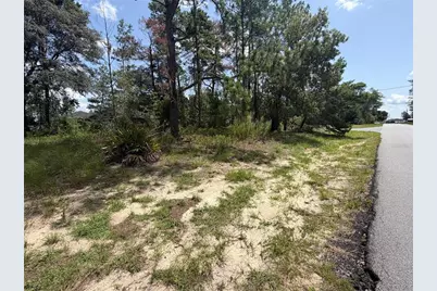 Tbd SW 63rd Terrace, Ocala, FL 34473 - Photo 6