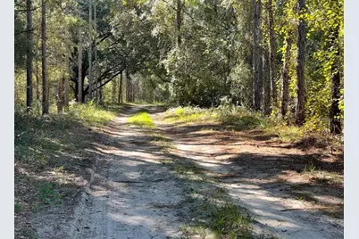 19751 County Road 33, Groveland, FL 34736 - Photo 4