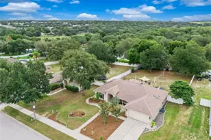 1115 Lakeview Oaks Dr, Minneola, FL 34715 - Photo 38