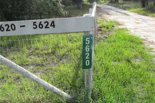 5620 SW 181st Ct, Dunnellon, FL 34432 - Photo 42