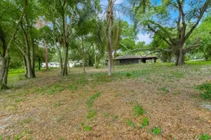 14436 Clerando Dr, Clermont, FL 34711 - Photo 24