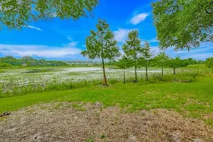 14436 Clerando Dr, Clermont, FL 34711 - Photo 22