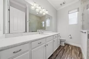 8732 Providence Ct, Mount Dora, FL 32757 - Photo 36