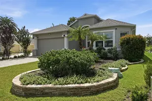 8732 Providence Ct, Mount Dora, FL 32757 - Photo 48