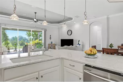 8732 Providence Court, Mount Dora, FL 32757 - Photo 22