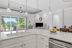 8732 Providence Ct, Mount Dora, FL 32757 - Photo 22