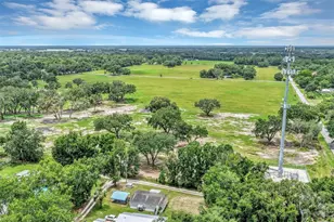 2756 NE 34th Rd, Coleman, FL 33521 - Photo 40