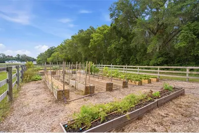 16241 SE 150th Avenue, Weirsdale, FL 32195 - Photo 58