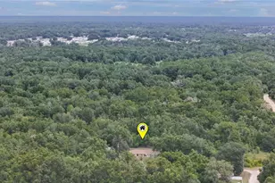 2210 Bluegrass St, Inverness, FL 34453 - Photo 60