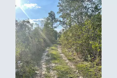 Concord Road, Saint Cloud, FL 34773 - Photo 2