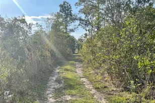 Topeka Ave, Saint Cloud, FL 34773 - Photo 1
