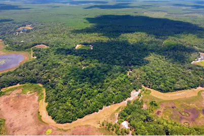 0 Forest 02, #1, SE 150th Street, Umatilla, FL 32784 - Photo 38