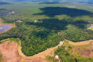 0 Forest 02 #1 SE 150th St, Umatilla, FL 32784 - Photo 38