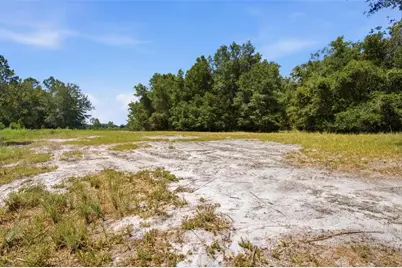 0 Forest 02, #1, SE 150th Street, Umatilla, FL 32784 - Photo 14