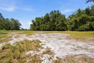 0 Forest 02 #1 SE 150th St, Umatilla, FL 32784 - Photo 14