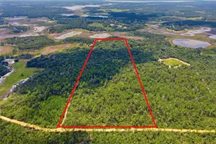0 Forest 02 #1 SE 150th St, Umatilla, FL 32784 - Photo 1