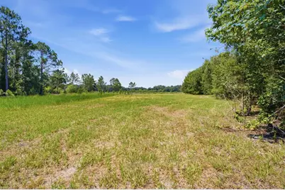 0 Forest 02, #1, SE 150th Street, Umatilla, FL 32784 - Photo 36