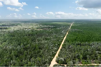 0 Forest 02, #1, SE 150th Street, Umatilla, FL 32784 - Photo 42