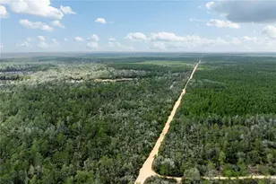 0 Forest 02 #1 SE 150th St, Umatilla, FL 32784 - Photo 42