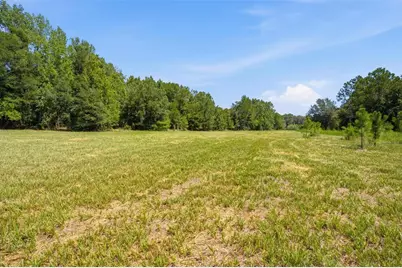 0 Forest 02, #1, SE 150th Street, Umatilla, FL 32784 - Photo 6