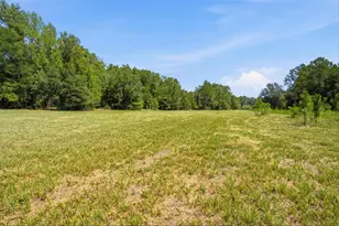 0 Forest 02 #1 SE 150th St, Umatilla, FL 32784 - Photo 6