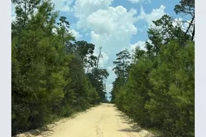0 Forest 02, #1, SE 150th Street, Umatilla, FL 32784 - Photo 8