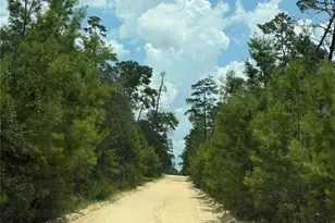 0 Forest 02 #1 SE 150th St, Umatilla, FL 32784 - Photo 8