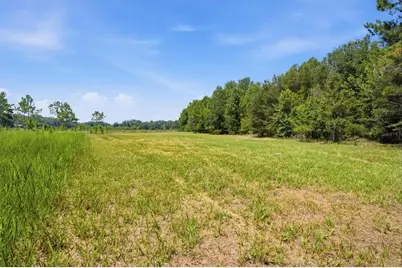 0 Forest 02, #1, SE 150th Street, Umatilla, FL 32784 - Photo 10