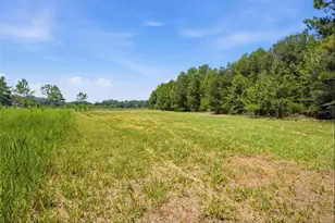 0 Forest 02 #1 SE 150th St, Umatilla, FL 32784 - Photo 10