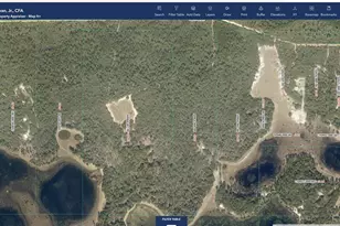 0 Forest 02 #1 SE 150th St, Umatilla, FL 32784 - Photo 12