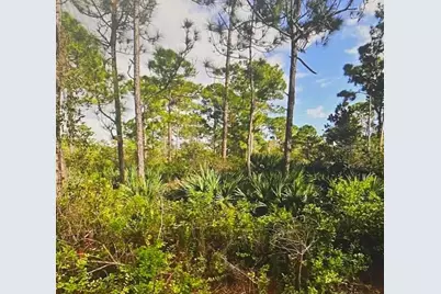 5550 Tree Top Trail, Fort Pierce, FL 34951 - Photo 1