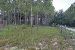 14240 Lost Lake Rd, Clermont, FL 34711 - Photo 16
